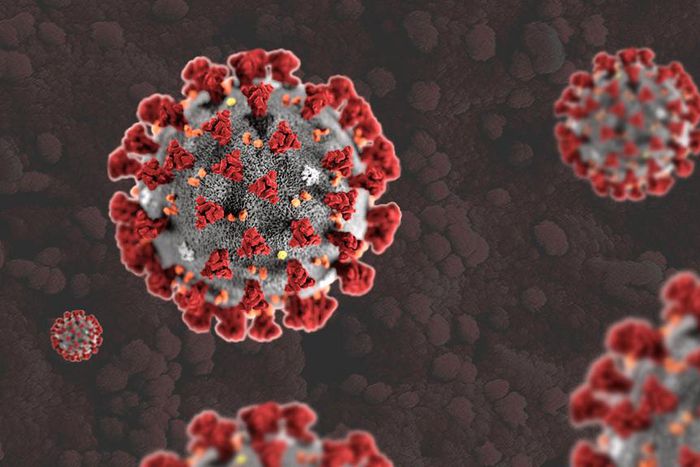 How to break chain of Coronavirus infection - Expert. [counterpointresearch]