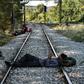 Migrants wait for a train to take them from Idomeni to a new life
