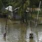 Torrential monsoon rains have unleashed havoc in India, Bangladesh and Nepal