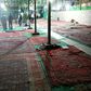 The 2008 bombing, which Iran blames on US-based "terrorists", ripped through a packed mosque in the southern city of Shiraz, killing 14 people and wounding 215