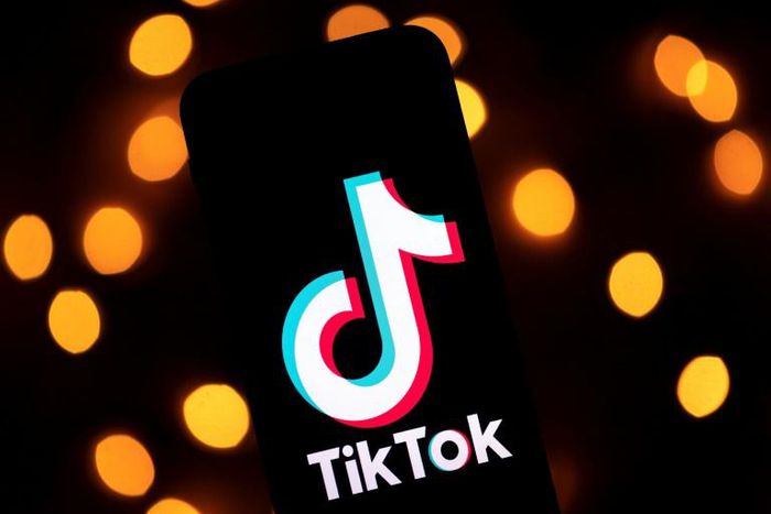 The social media video sharing app TikTok is contributing $250 million toward pandemic relief efforts
