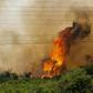 Brazil's national space agency, INPE, identified 3,506 fires from January 1, 2020 to July 22, 2020 in the Pantanal, a 192 percent increase from 2019 and the most for the period since records began in 1998