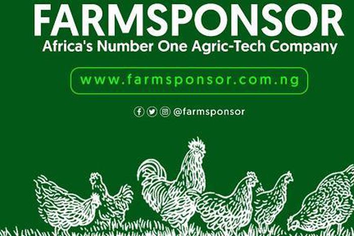 Farmsponsor is bringing a new voice to Agri-Tech in Nigeria; here’s how