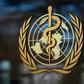 On a mission to Belarus, one of the few in Europe without a mandatory lockdown, a doctor from the WHO's European office said there is "evidence of rapid increase in cases" in the country of 9.5 million