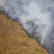 Bolivia registered 15,354 forest fires (similar to the one pictured in August 2019) in the first four months of 2019 -- a 35 percent increase on the same period the year before, the Friends of Nature Foundation (FAN) said