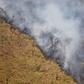 Bolivia registered 15,354 forest fires (similar to the one pictured in August 2019) in the first four months of 2019 -- a 35 percent increase on the same period the year before, the Friends of Nature Foundation (FAN) said