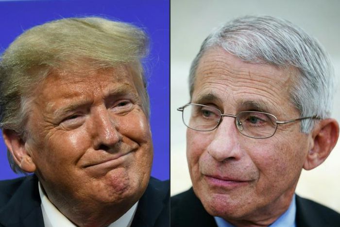 US President Donald Trump has repeatedly criticized the nation's top infections disease expert Dr Anthony Fauci, even though he is a respected member of the White House coronavirus task force