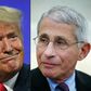 US President Donald Trump has repeatedly criticized the nation's top infections disease expert Dr Anthony Fauci, even though he is a respected member of the White House coronavirus task force