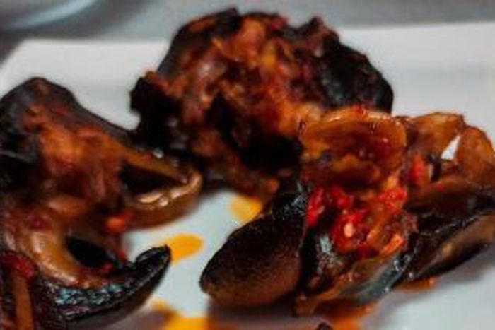 The spectacular ways TECNO has made world Photography Day relative to Nigerians