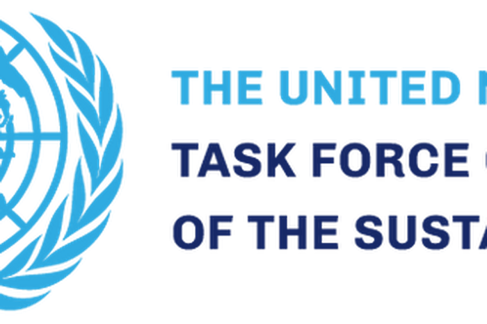 UN Secretary-General’s Task Force on Digital Financing of the Sustainable Development Goals