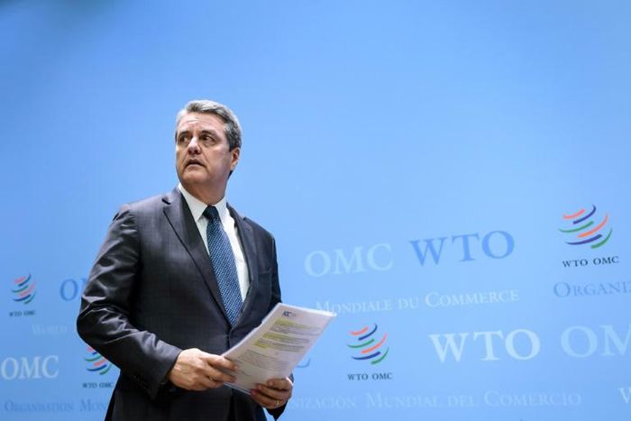 World Trade Organization (WTO) Director General Roberto Azevedo plans to step down early