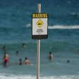 Australia has one of the world's highest incidences of shark attacks