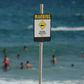 Australia has one of the world's highest incidences of shark attacks
