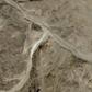In the 'cold desert' of the Galwan river valley where Indian and Chinese troops fought a brutal hand-to-hand battle, winter temperatures can plunge below minus 30 Celsius (minus 20 Fahrenheit)