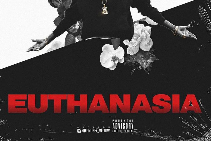 ‘Euthanasia’ is a synonym for mercy killing, a controversial topic across the world for its legality, rightness and wrongess [Instagram/ModeninePolimaf]