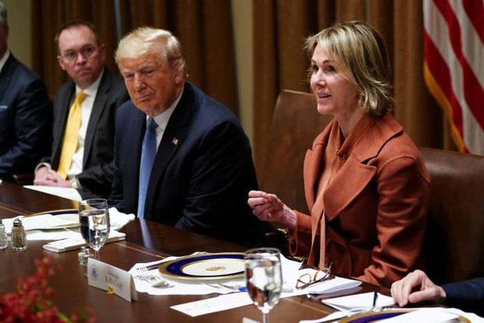 Kelly Craft, the US ambassador to the United Nations, speaks next to President Donald Trump in December 2019