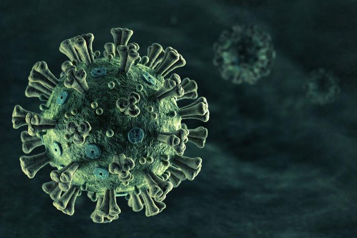 novel coronavirus under a microscope