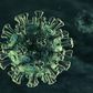 novel coronavirus under a microscope