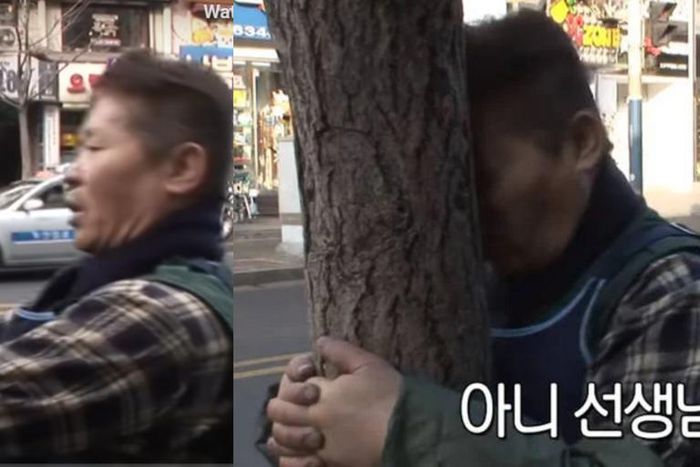 Man bangs forehead on a tree everyday till it gets bloody due to failure to become a boxer (video)