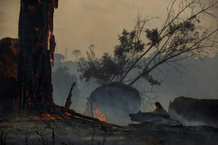 The fires are expected to be at their worst in August, like last year, when this photo of a burnt area was taken in Altamira, Para state, Brazil, in the Amazon basin