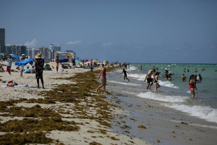 Miami Beach is busy with tourists, but some worry about the risk that the coronavirus could spread
