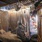 Jonathan, 30, sits on his bed behind a plastic protection as doctors make a round of visits in Ate, on the eastern outskirts of Lima