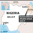 Map of Nigeria locating the northeastern Borno state where a jihadist attack on Tuesday left dozens dead.