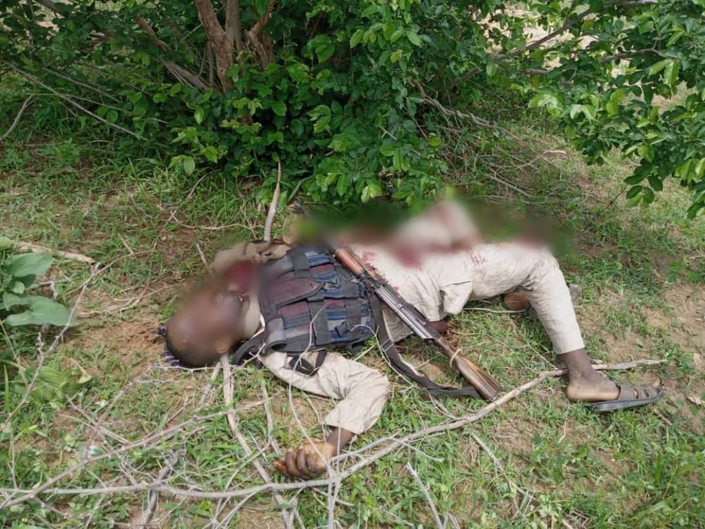 Troops kill 6 bandits, foil attempt to steal livestock in Katsina, Zamfara. [Twitter/@DefenceInfoNG]