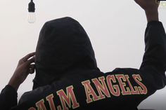 Polo Avenue x Palm Angels