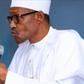 President Muhammadu Buhari directs speedy, coordinated investigation of NDDC (TheCable)