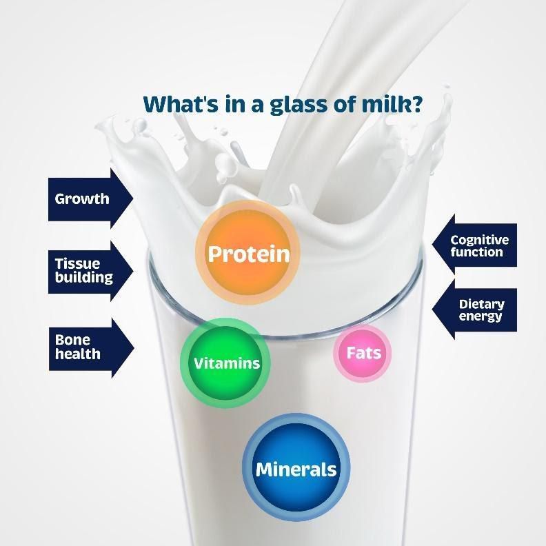 Milk in the diet of the Nigerian child: The untold benefits