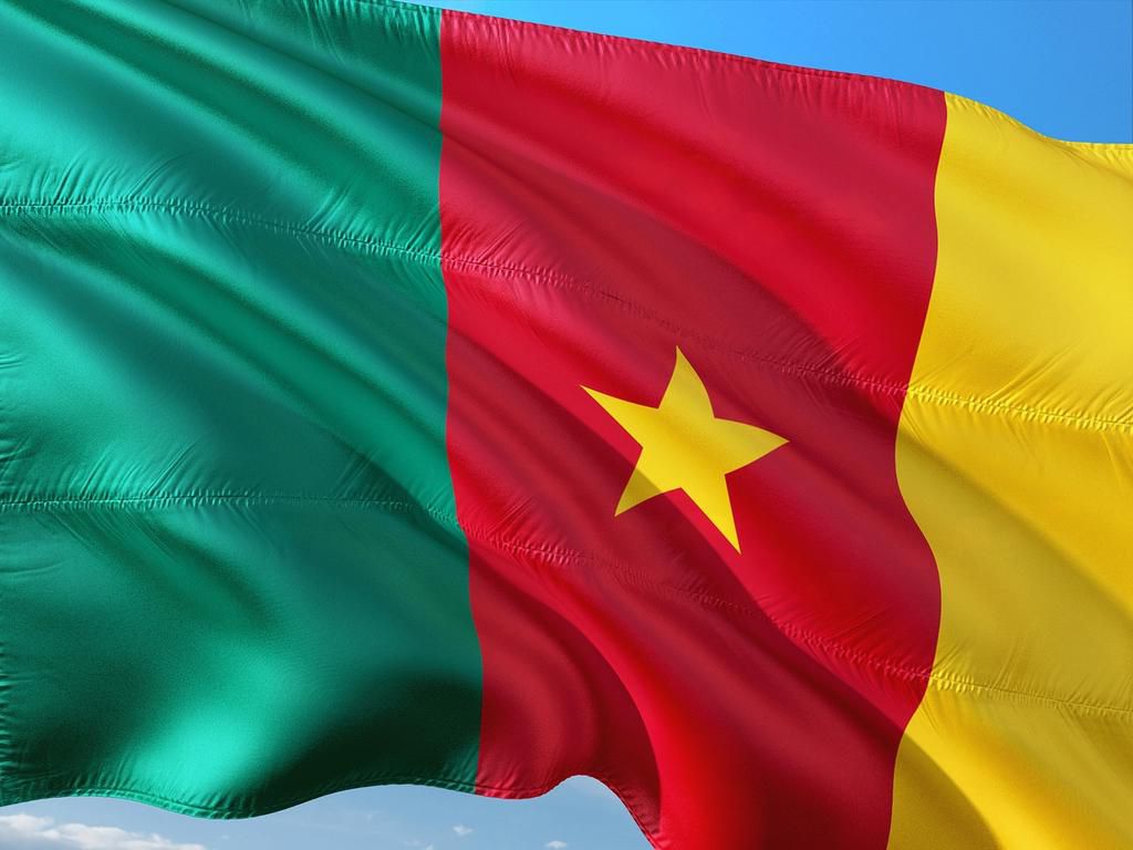 Cameroonian flag [Pixabay]