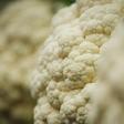 Dr. Pimple Popper Pops a 'Cauliflower' Blackhead
