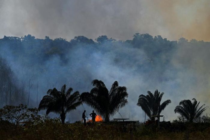 Fires in the Amazon are sparked by humans to clear land illegally, experts say