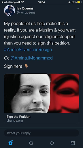 Arielle Silverstein and her antics online