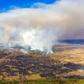 Police said a man burning dry grass started the fire near the exclusion zone around the ruined reactor