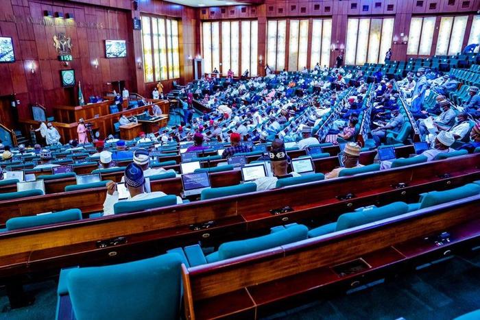 Lawmakers during plenary in the Federal House of Representatives chamber [Twitter/@NGRHouse]