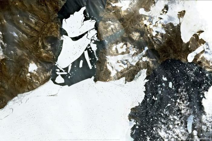 The massive chunk broke off the Nioghalvfjerdsfjorden glacier in Northeast Greenland