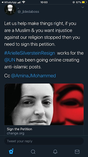 Arielle Silverstein and her antics online