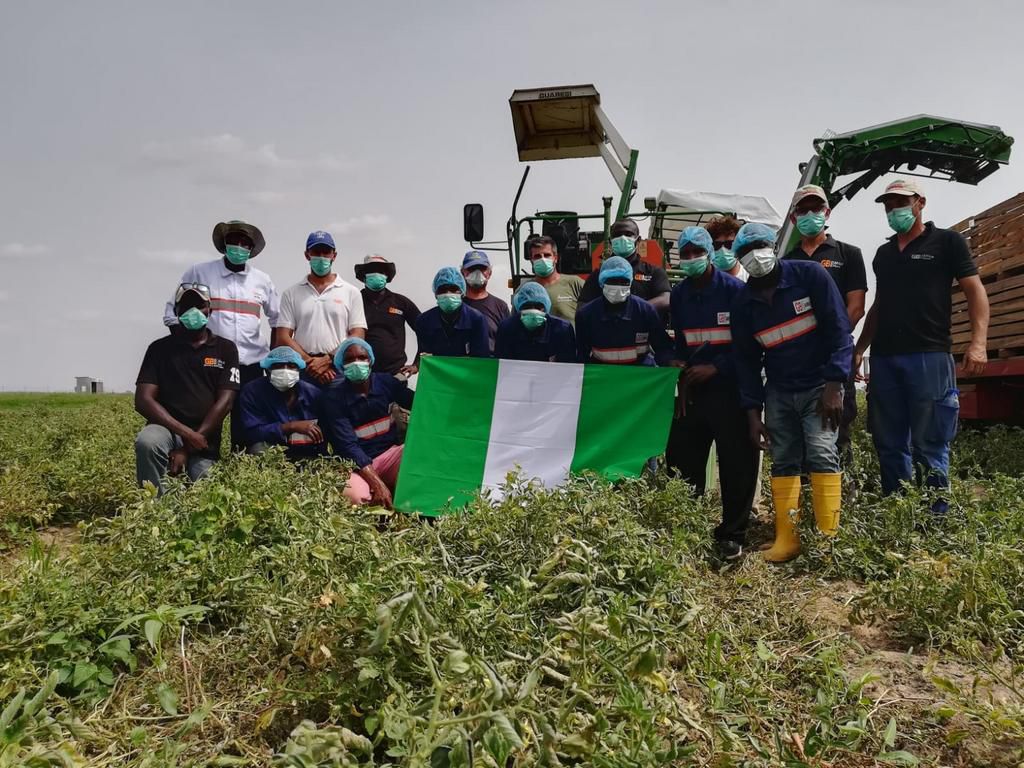 GBfoods completes N20 billion tomato processing factory in Kebbi