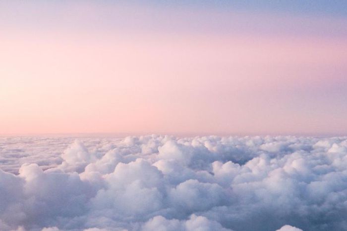 Watch Dr. P Squeeze 'Dreamy' Back Blackheads