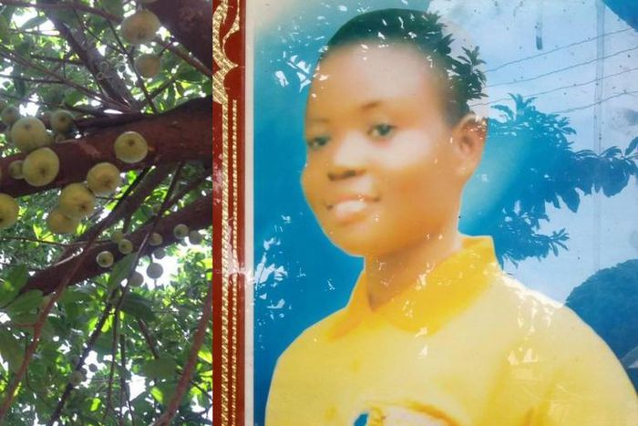 Girl who planted apple tree in Ashanti region is dead; can’t enjoy “the fruit of her labour”