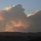 A plane flies past smoke from the Lake Fire in the Angeles National Forest