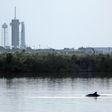 SpaceX's Falcon 9 rocket in the background as dolphins swim in a lagoon near Launch Pad 39A at the Kennedy Space Center in Florida