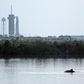 SpaceX's Falcon 9 rocket in the background as dolphins swim in a lagoon near Launch Pad 39A at the Kennedy Space Center in Florida