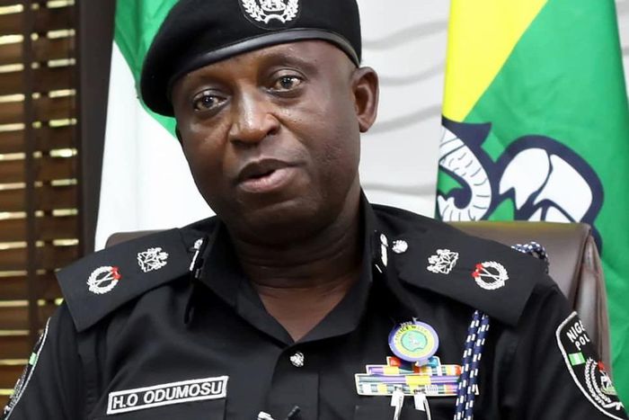 Commissioner of Police Lagos State, Hakeem Odumosu (Punch)