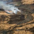 Parched wetland in the Parana Delta, an area of rich biodiversity that is under threat from thousands of fires