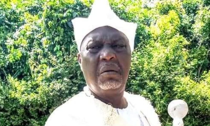 Veteran Yoruba actor Ganiu Nafiu, popularly known as Alapini [Facebook]