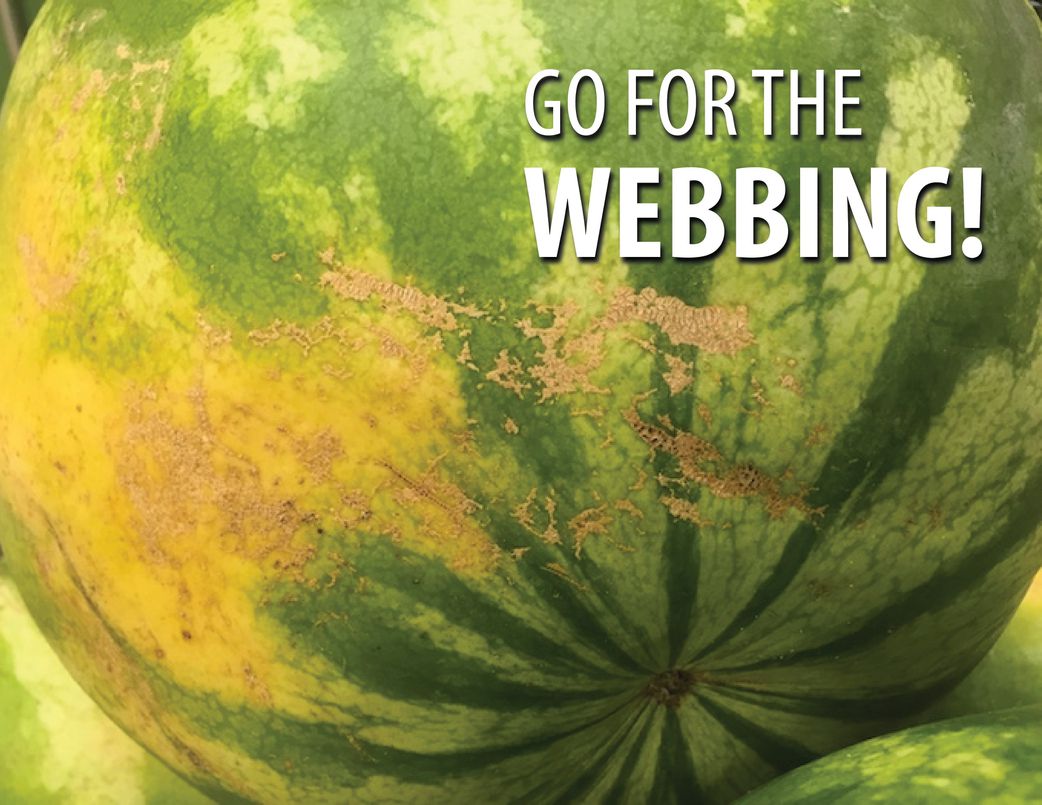 Go for the webbing [X]