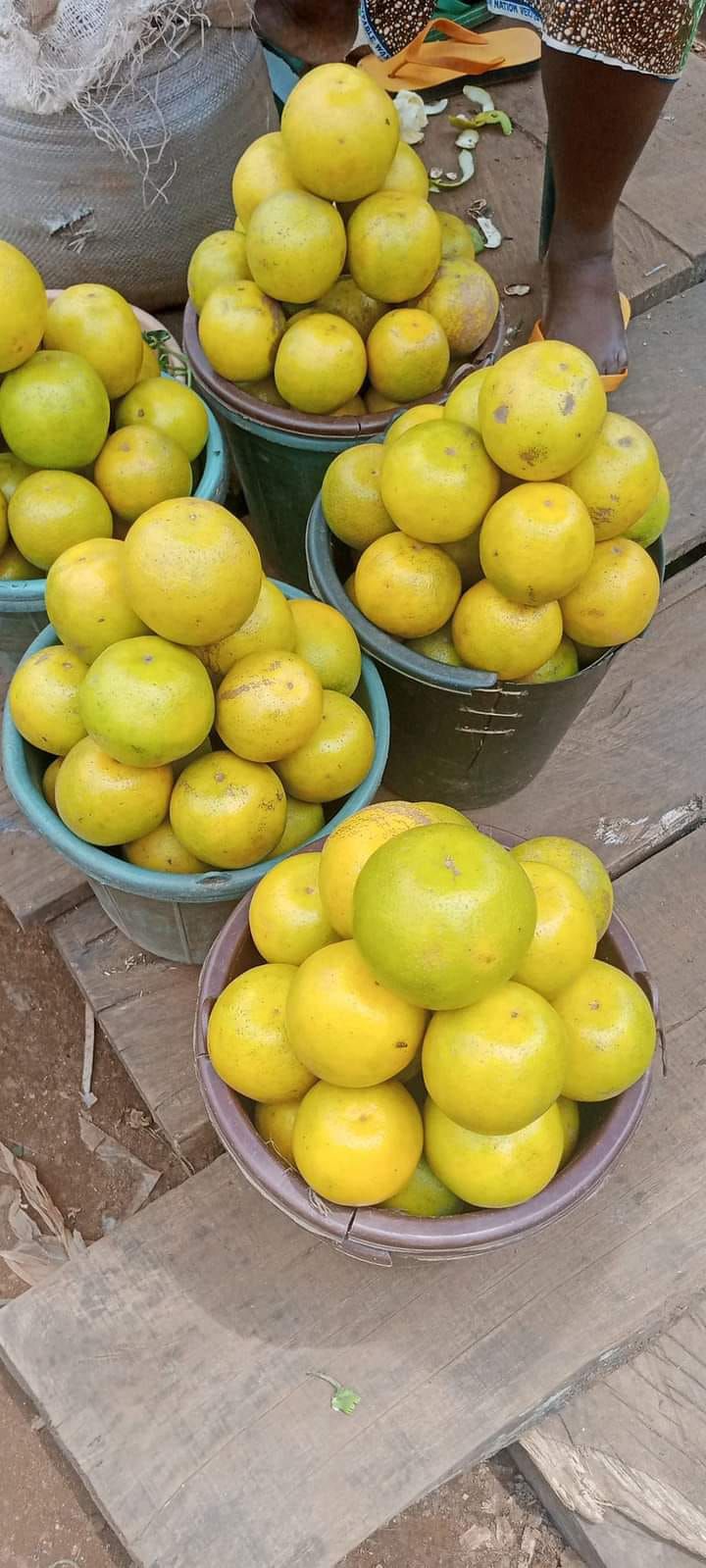 Basket of fruits on display for sale at a market in Benue State. [Facebook/@aga.thaddus]